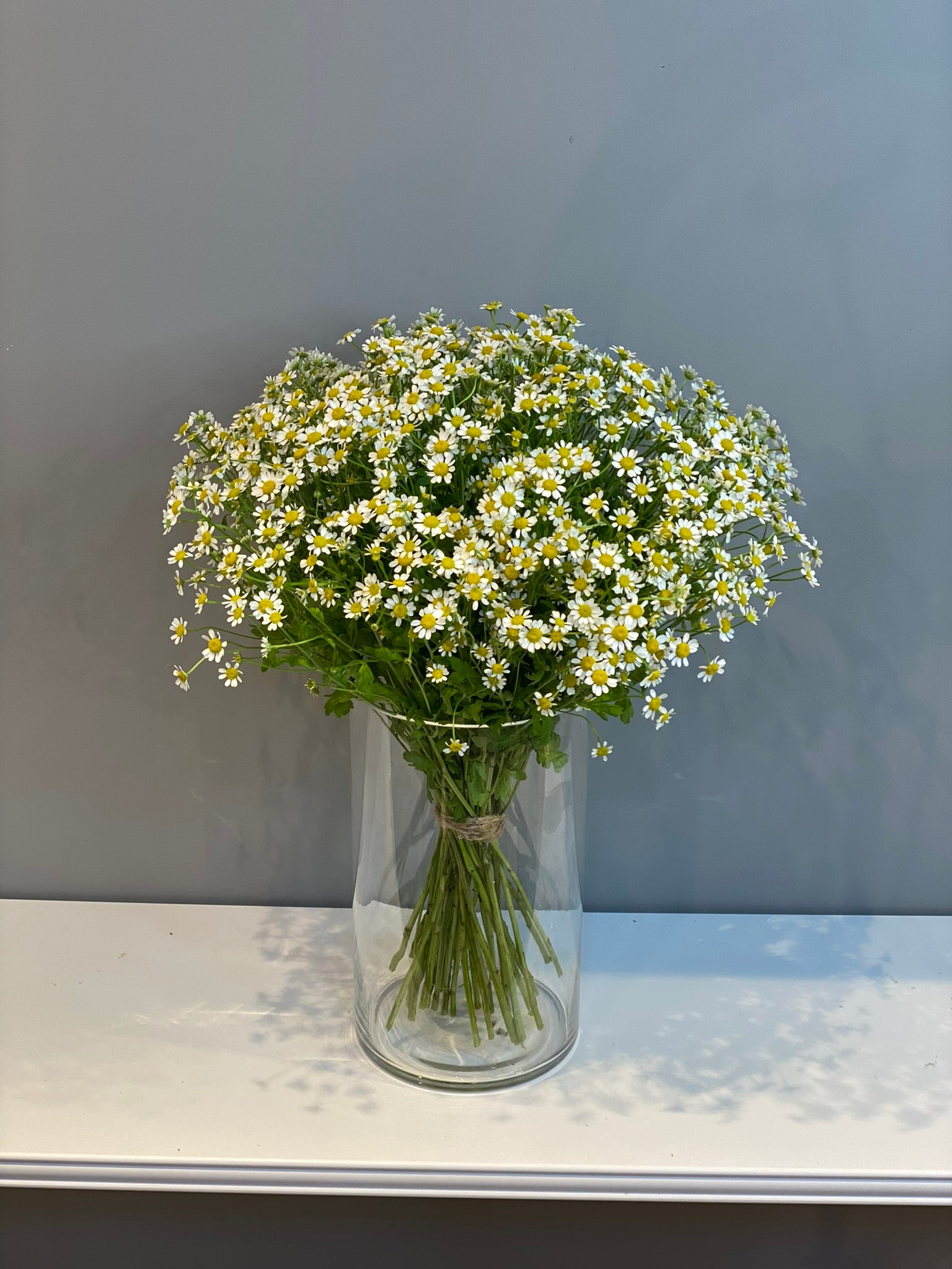Fresh Chamomile Daisy Arrangement - White & Yellow Wild Daisies in Clear Glass Vase Dubai